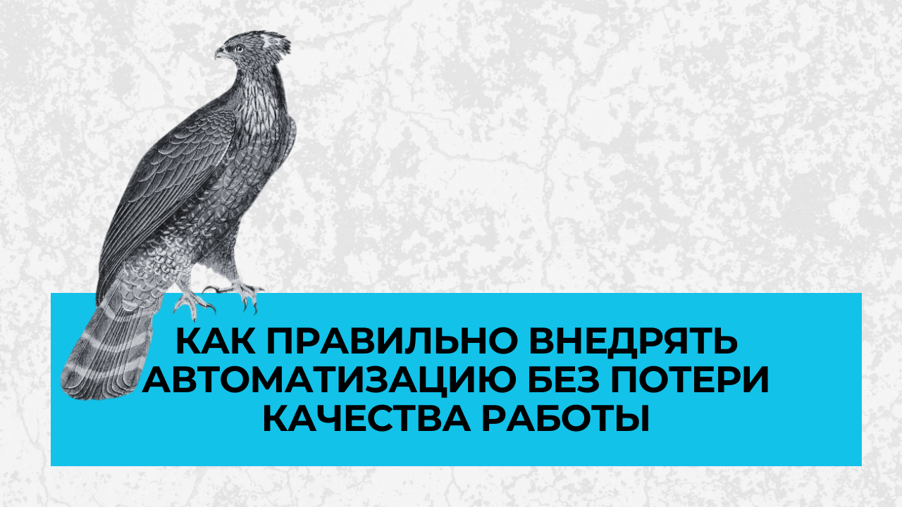 Как правильно внедрять автоматизацию без потери качества работы