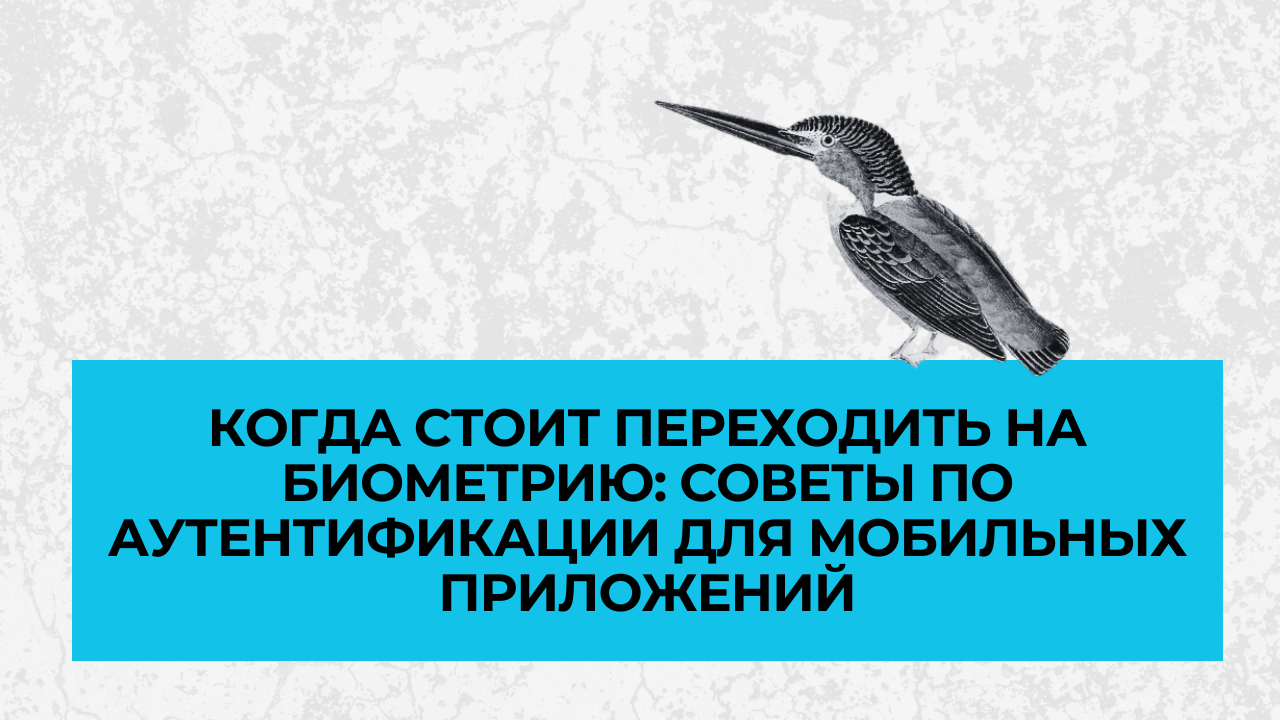 Когда стоит переходить на биометрию: советы по аутентификации для мобильных приложений