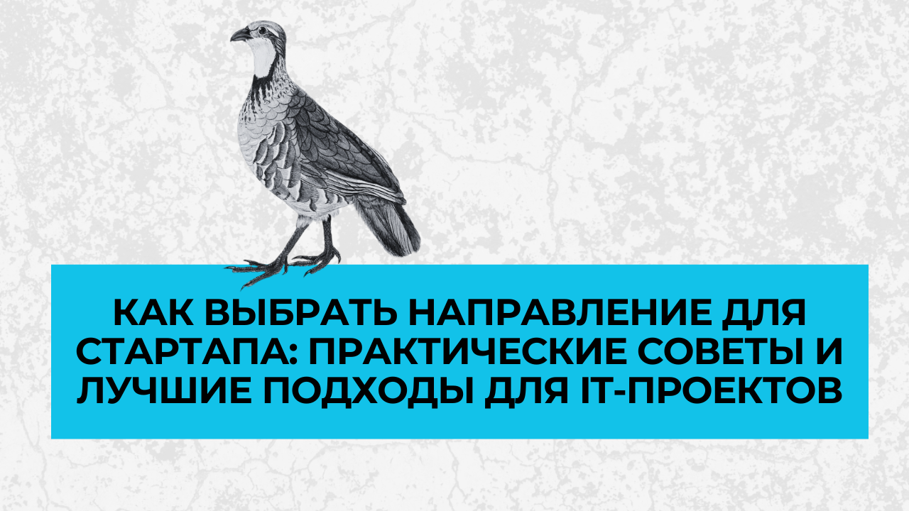 Как выбрать направление для стартапа: практические советы и лучшие подходы для IT-проектов