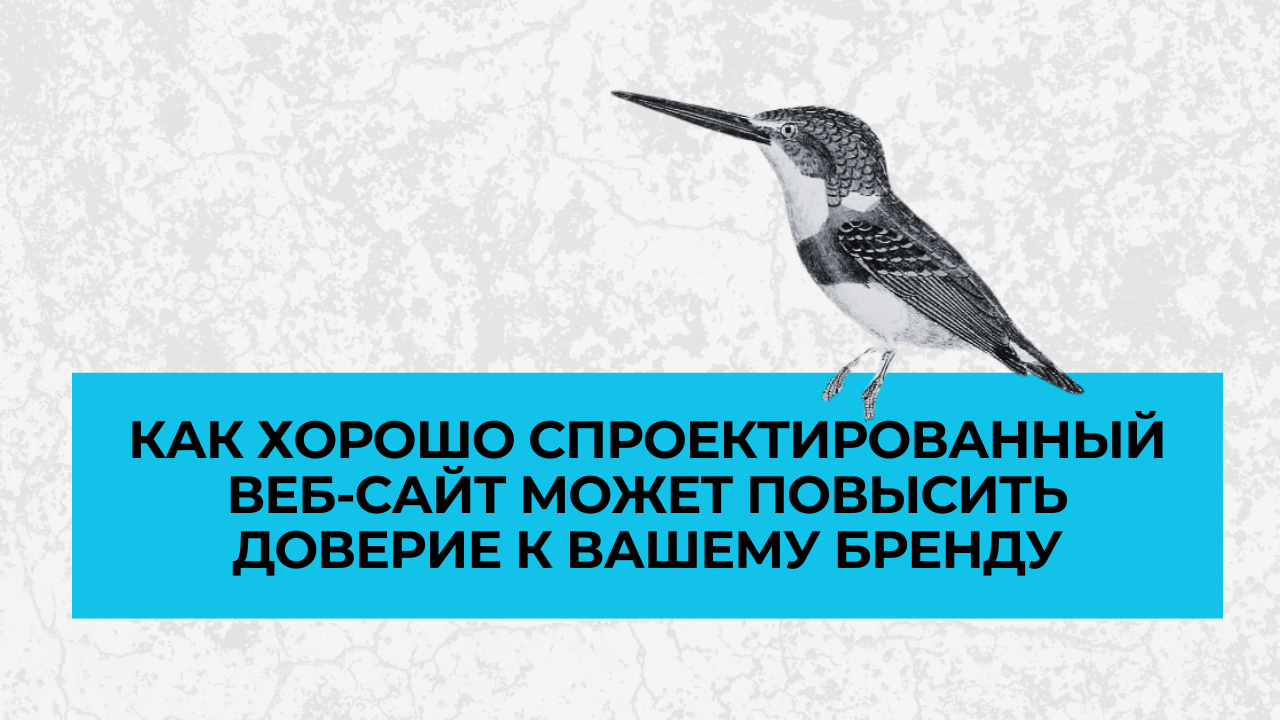 Как хорошо спроектированный веб-сайт может повысить доверие к вашему бренду