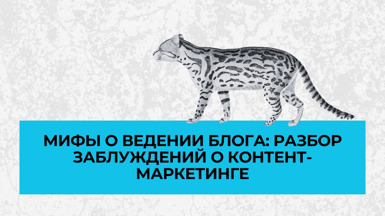 Мифы о ведении блога: разбор заблуждений о контент-маркетинге