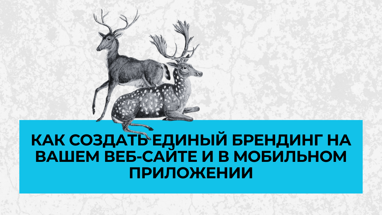 Как создать единый брендинг на вашем веб-сайте и в мобильном приложении