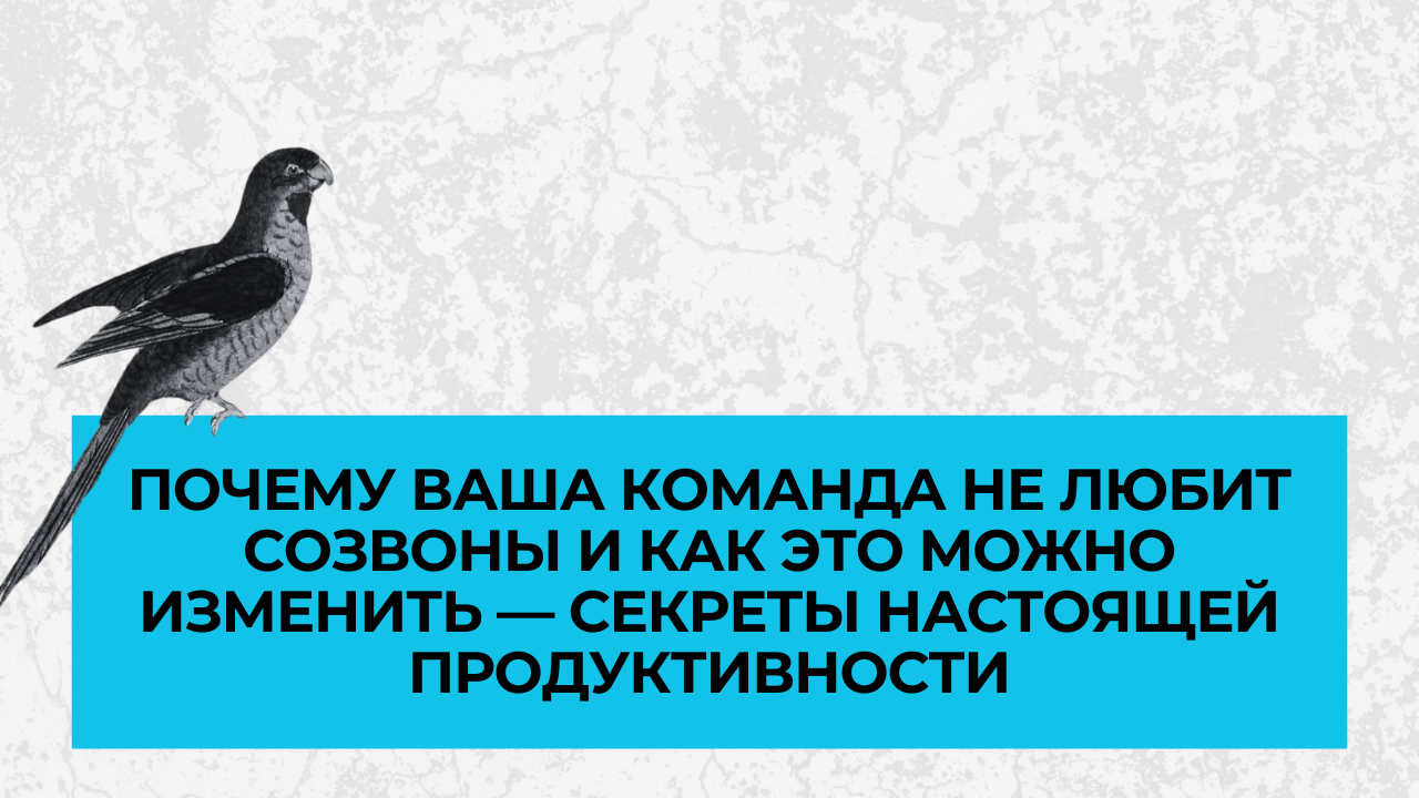 Почему ваша команда не любит созвоны и как это можно изменить — секреты настоящей продуктивности